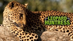 Malika Leopard Huntress