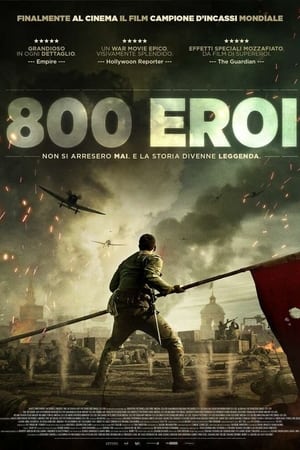 Poster 800 eroi 2020