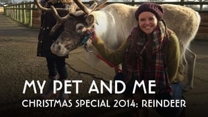 poster My Pet and Me: Special: Christmas 2014: Reindeer
