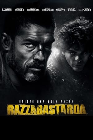 Poster Razzabastarda 2013