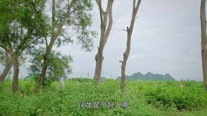 Episode 27