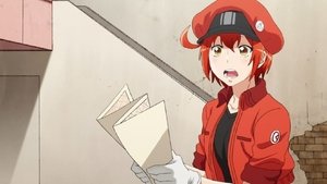 Hataraku Saibou: Kaze Shoukougun
