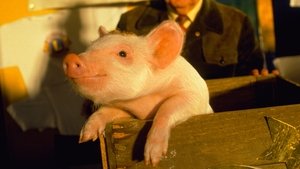 Babe, el cerdito valiente (1995)