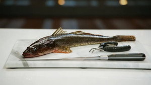 MasterChef (Australia) - Season 18 Episode 36