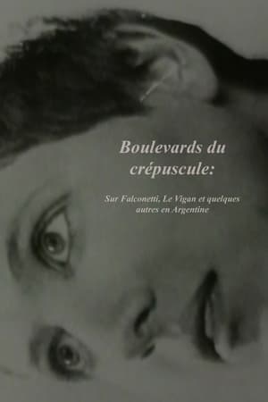 Poster Sunset Boulevards (1992)