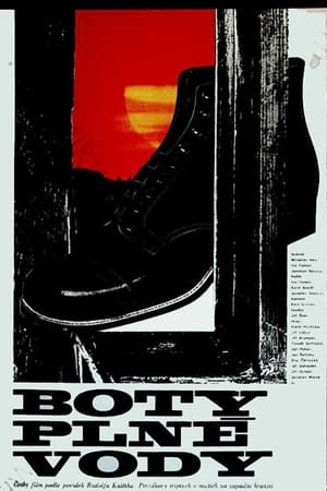 Poster Boty plné vody 1976