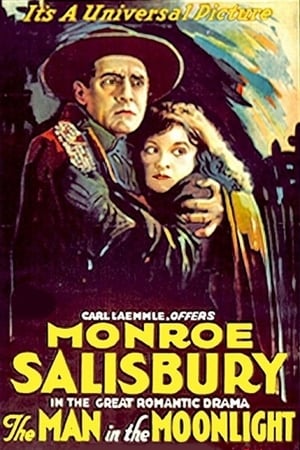 Poster The Man in the Moonlight (1919)