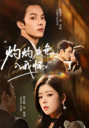 灼灼夜色入我怀 - Season 1