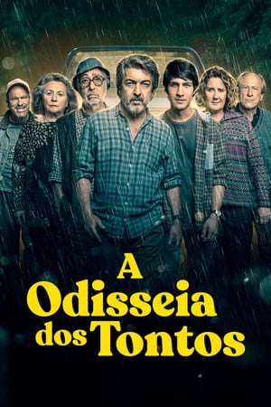 Assistir A Odisseia dos Tontos Online Grátis