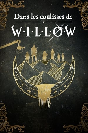 Poster Dans les coulisses de Willow 2023