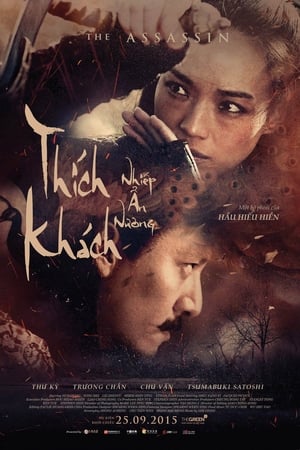 Poster Thích Khách Nhiếp Ẩn Nương 2015