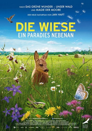 Die Wiese: Ein Paradies nebenan