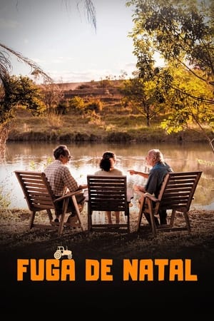 Poster Fuga de Natal (2018)