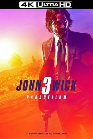 poster John Wick: Chapter 3 - Parabellum