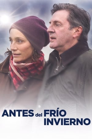 Poster Antes del frío invierno 2013