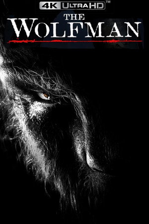 Постер фильма «Человек-волк (2010)» — (32 из 85)
