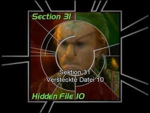 Image Section 31: Hidden File 10 (S05)