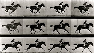 Eadweard 2015