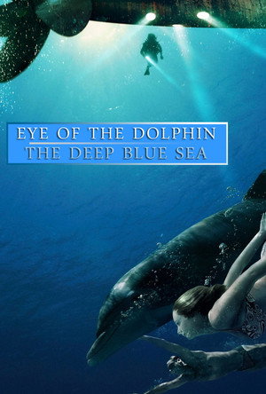Eye of the Dolphin Collection