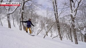 Journeys in Japan: 15×7