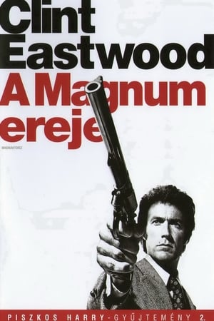 Poster A Magnum ereje 1973