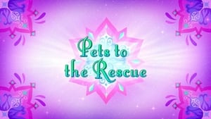 Image Pets to the Rescue