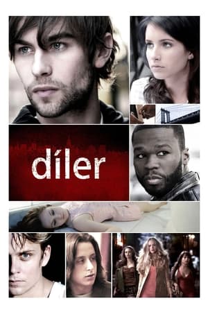 Poster Díler 2010