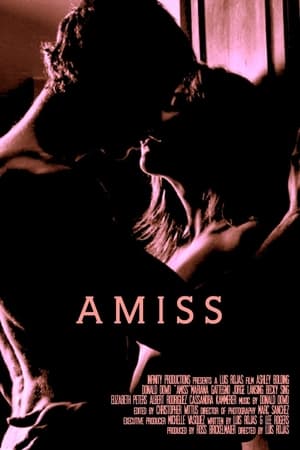 Poster Amiss (2011)