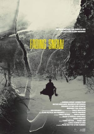 Poster Fading Snow (2020)