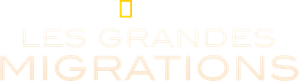 Les grandes migrations