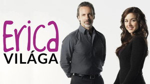 Being Erica 18