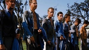 Luke, mână rece – Cool Hand Luke (1967), film online subtitrat în Română