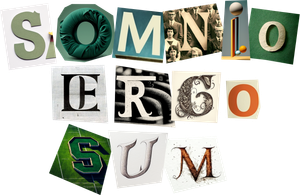 Somnio Ergo Sum — Logos 1