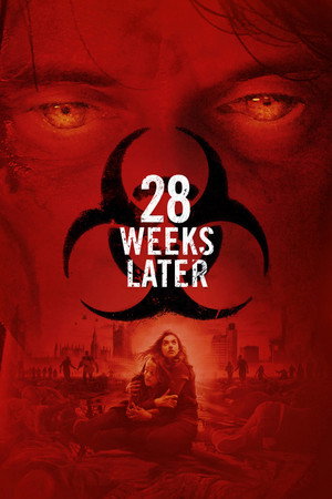 Постер фильма «28 недель спустя (2007)» — (46 из 110)
