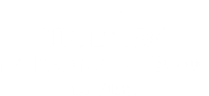 Tic et Tac, les Rangers du Risque : Le Film — logo