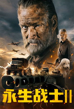 poster Sisu: Road to Revenge