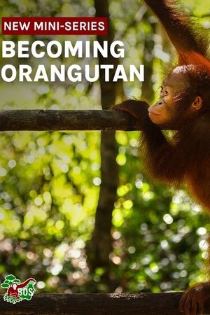 Image Becoming Orangutan