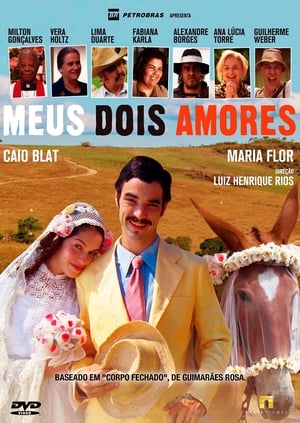 Poster Meus Dois Amores (2015)