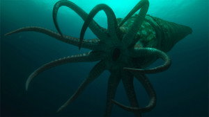 When the Oceans Shrank