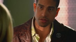 CSI: Kryminalne zagadki Miami: s07e12 Sezon 7 Odcinek 12