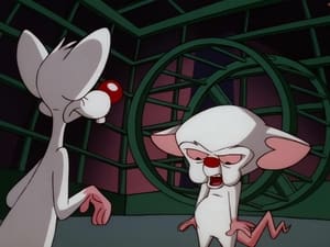 Pinky & der Brain: 4×8