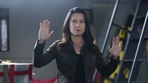 Marvel’s Agents of S.H.I.E.L.D.: 4×21