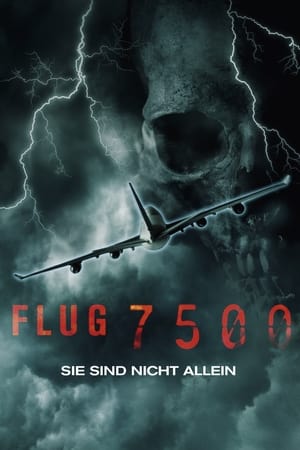 Image Flug 7500 - Sie sind nicht allein