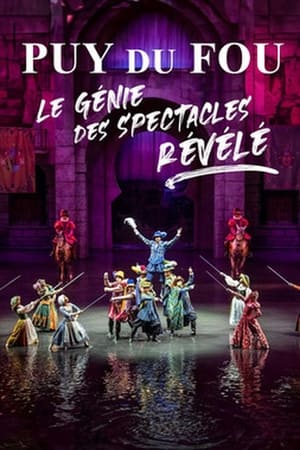 Image Puy du Fou : le génie des spectacles révélé