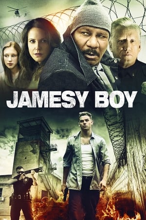 Poster Jamesy Boy 2014