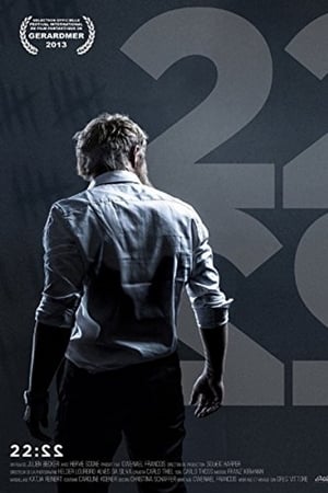 Poster 22:22 (2013)