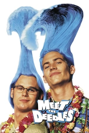 Poster Meet the Deedles 1998