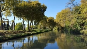 Canal du Midi : un patrimoine révélé