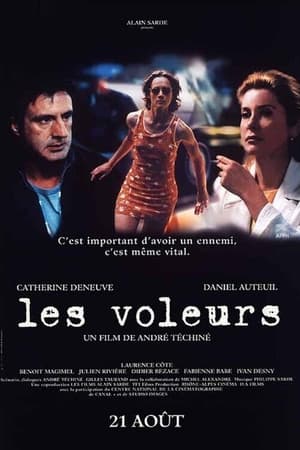 Poster Les Voleurs 1996