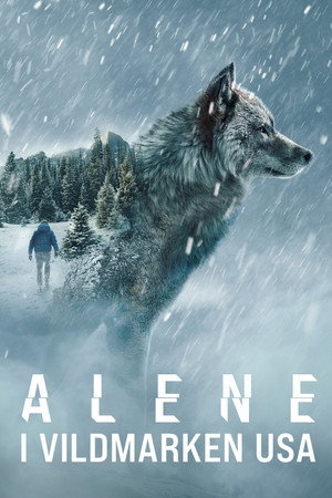 Image Alene i vildmarken - kampen for overlevelse